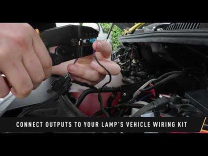 Interfaccia CAN Lazer Lamps Canny (connessione diretta) | 4 Sorties