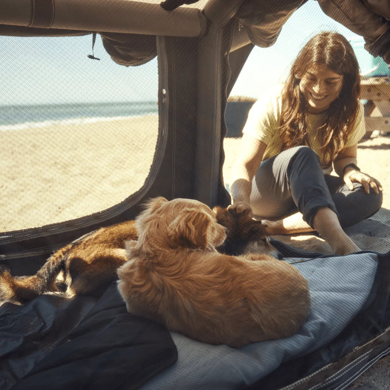 Niche Gonflable pour chiens - DOMETIC sur Xperts4x4 Accessoires 4x4 Off-Road