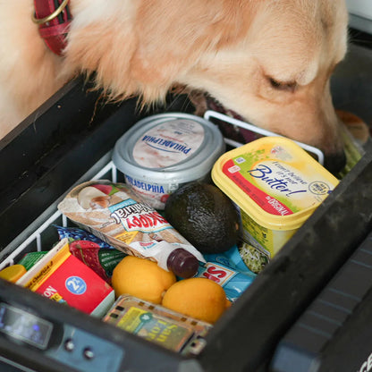 Glacière Compresseur ICECO JP50 PROS 50L – Frigo/Freezer Off-Road sur Xperts4x4 Accessoires 4x4 Off-Road